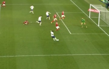  热刺主场草皮质量问题遭批  